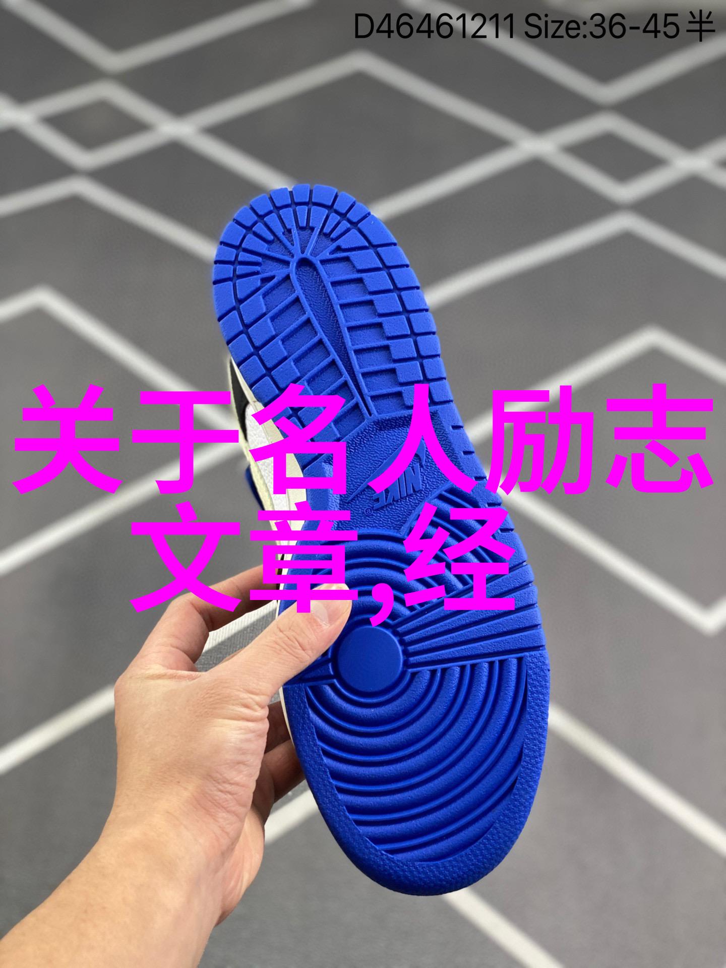 牛顿的名人名言40条