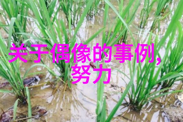 简奥斯丁名言
