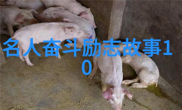 蒋锡培的第一桶金