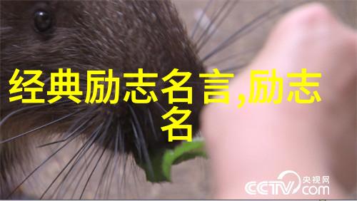 励志格言警句